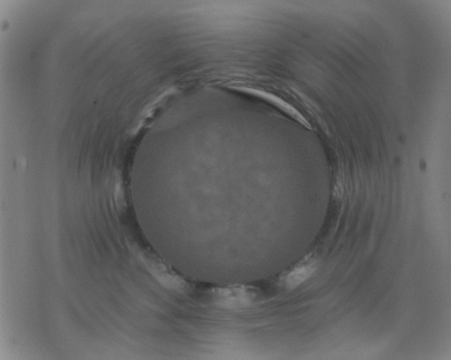 X0000076100524200610061710