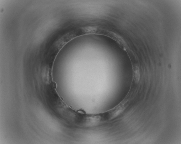 X0000076100525200610061710