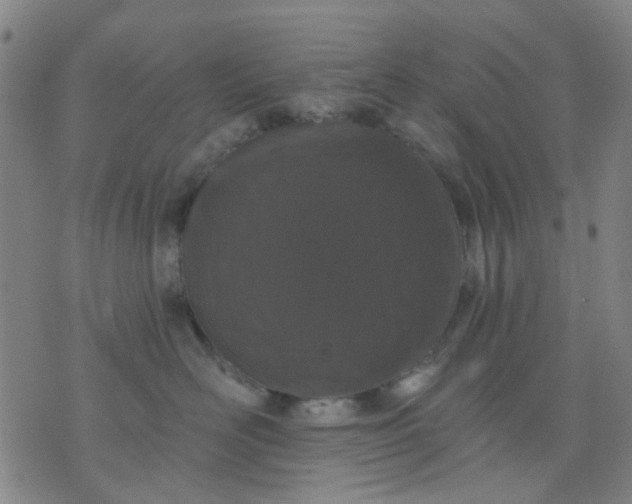 X0000076100526200610061710