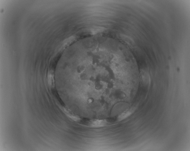 X0000076100527200610061710