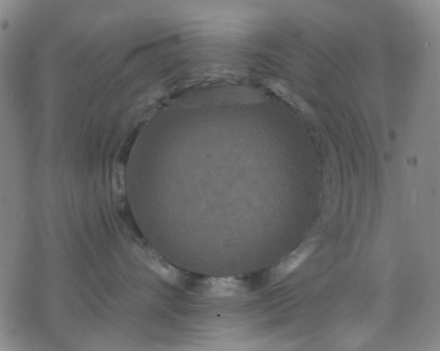 X0000076100528200610061710