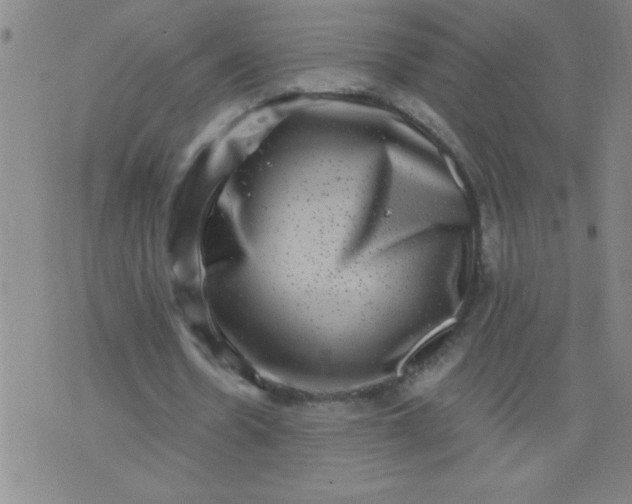 X0000076100530200610061709