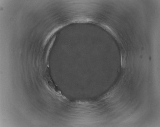 X0000076100531200610061709