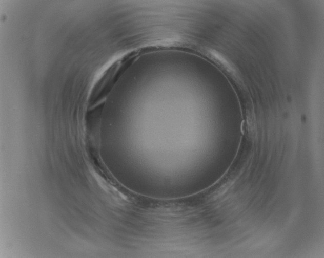 X0000076100532200610061709