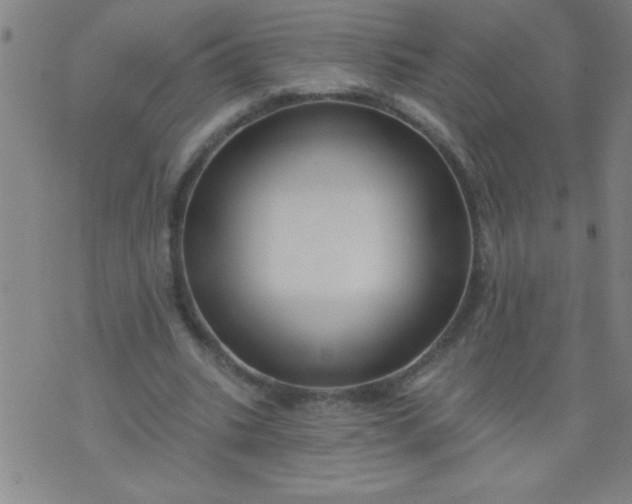 X0000076100535200610061709