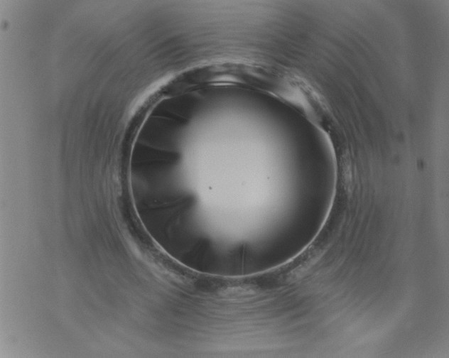 X0000076100536200610061709