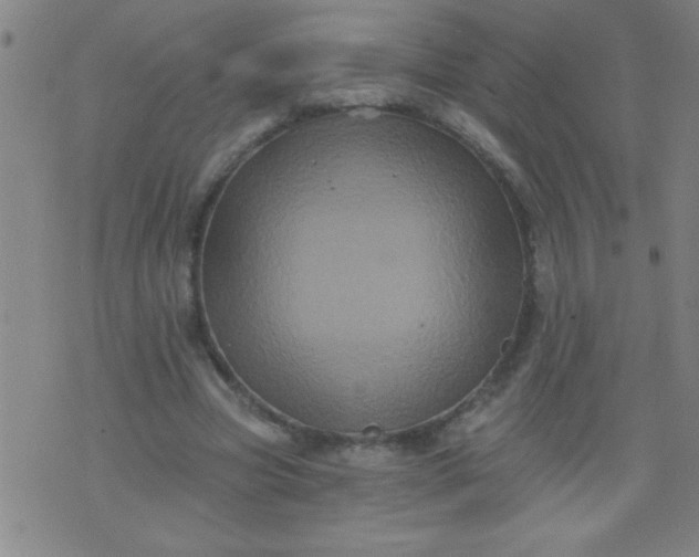 X0000076100537200610061709