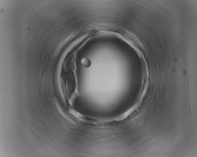 X0000076100538200610061709