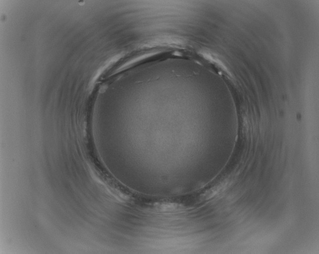 X0000076100539200610061709