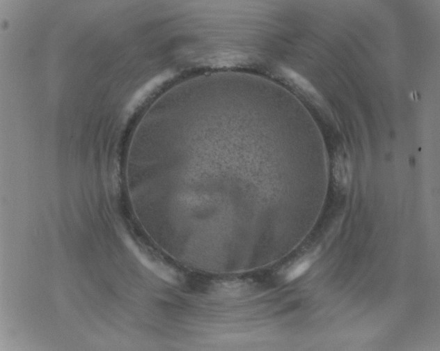 X0000076100540200610061709