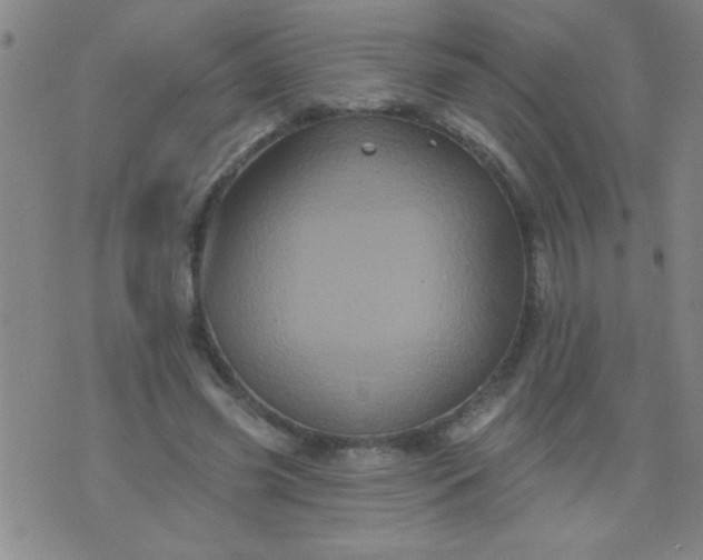 X0000076100541200610061709