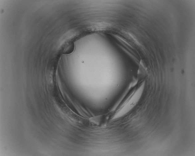 X0000076100543200610061709