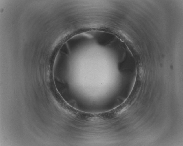 X0000076100544200610061709