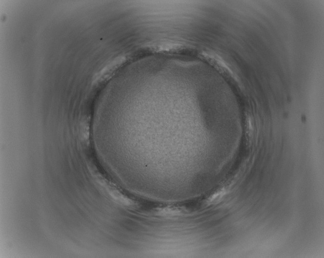 X0000076100545200610061709