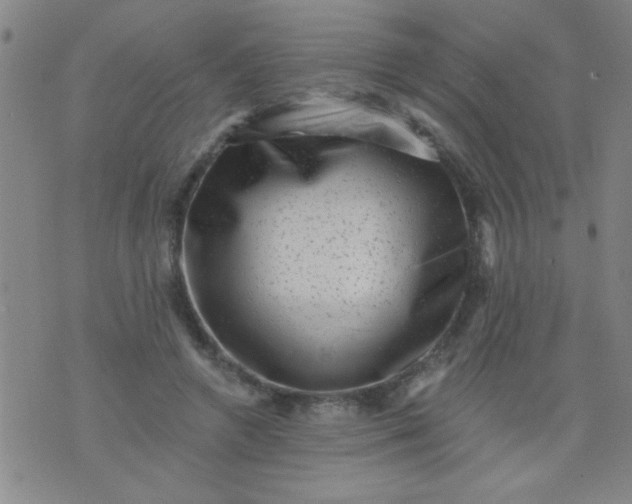 X0000076100546200610061709