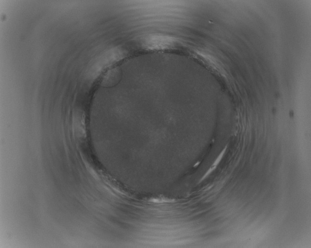 X0000076100547200610061709