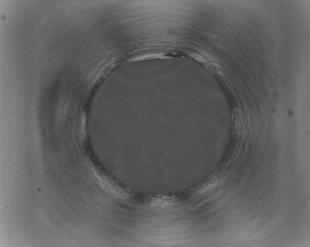 X0000076100550200610061709