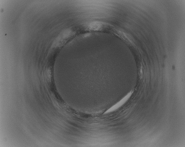 X0000076100551200610061709