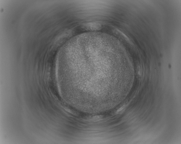 X0000076100553200610061709