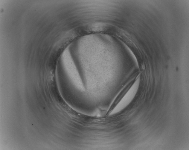 X0000076100555200610061709