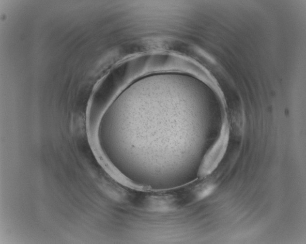 X0000076100556200610061709