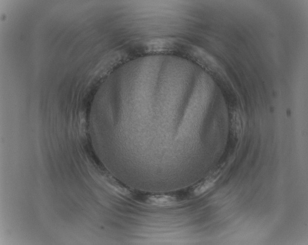 X0000076100557200610061709