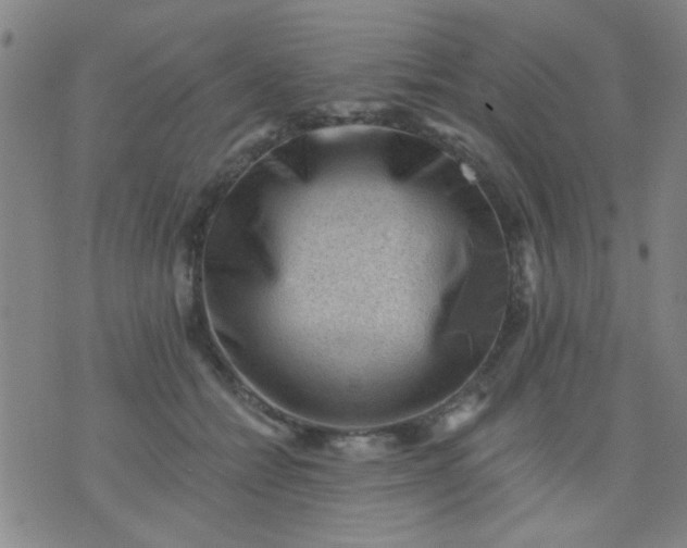 X0000076100558200610061709