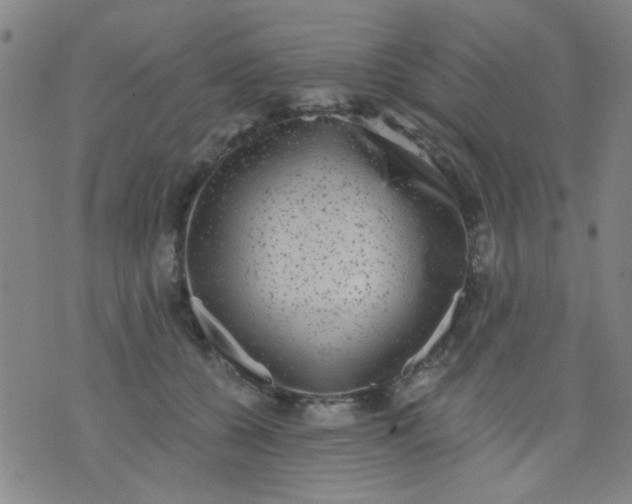 X0000076100560200610061709