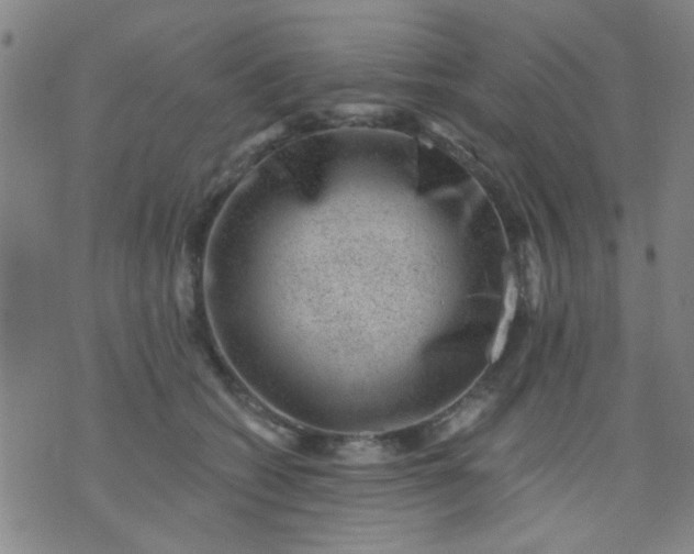 X0000076100562200610061709