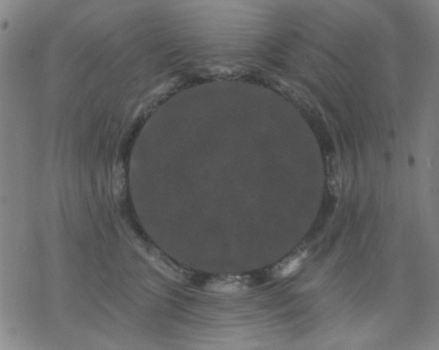 X0000076100563200610061709