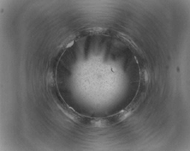 X0000076100564200610061709