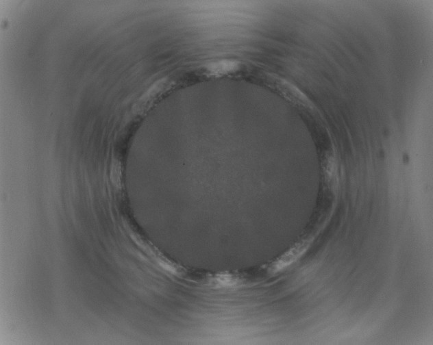 X0000076100565200610061709