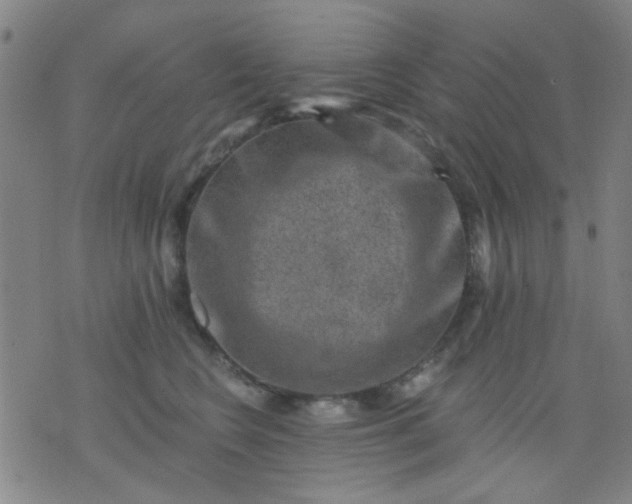 X0000076100566200610061709