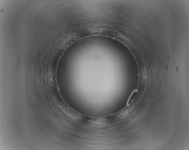 X0000076100567200610061709