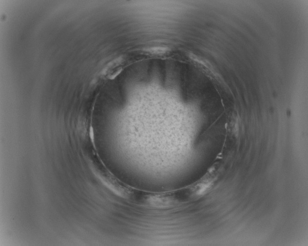 X0000076100568200610061709