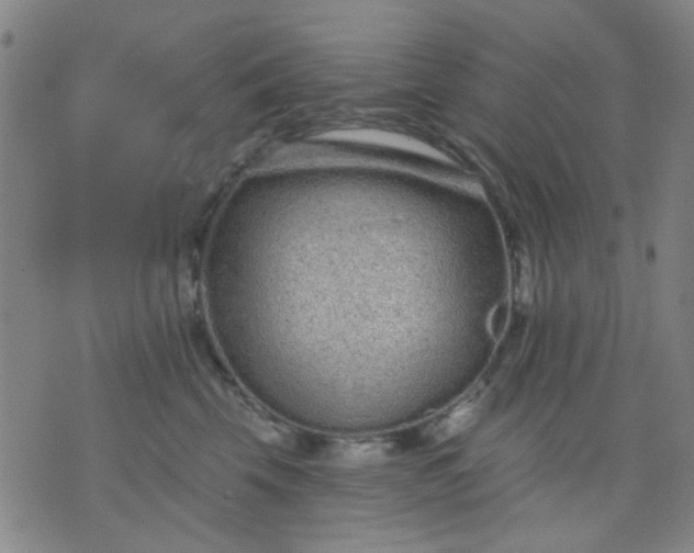 X0000076100569200610061709