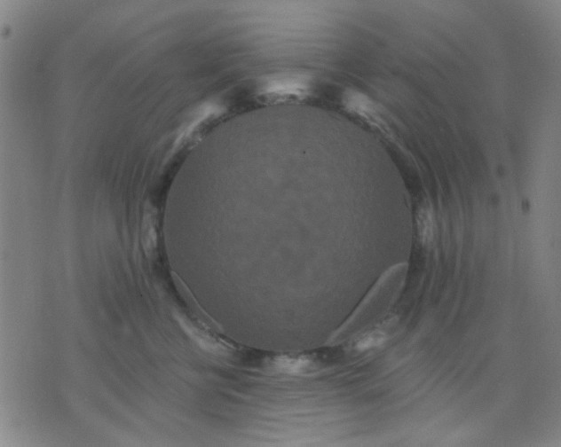 X0000076100570200610061709