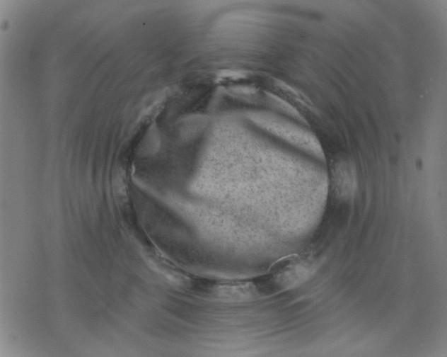 X0000076100571200610061709