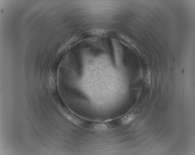 X0000076100572200610061709