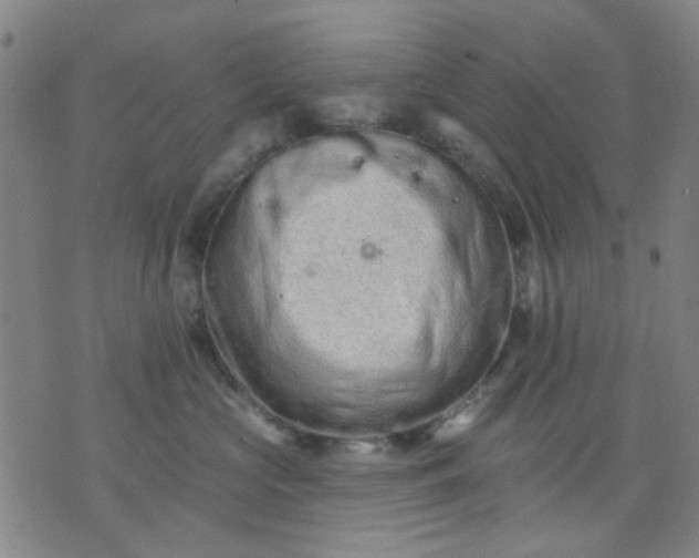 X0000076100573200610061709