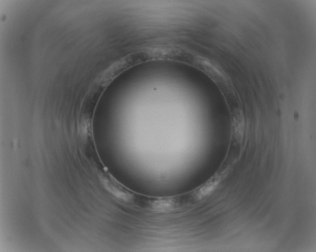 X0000076100574200610061709