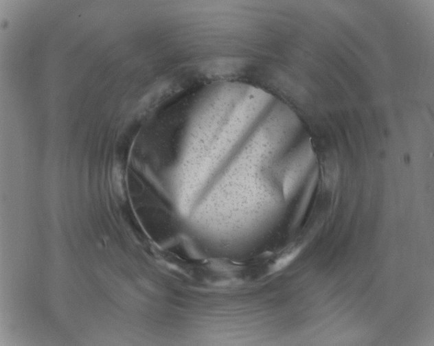 X0000076100575200610061710