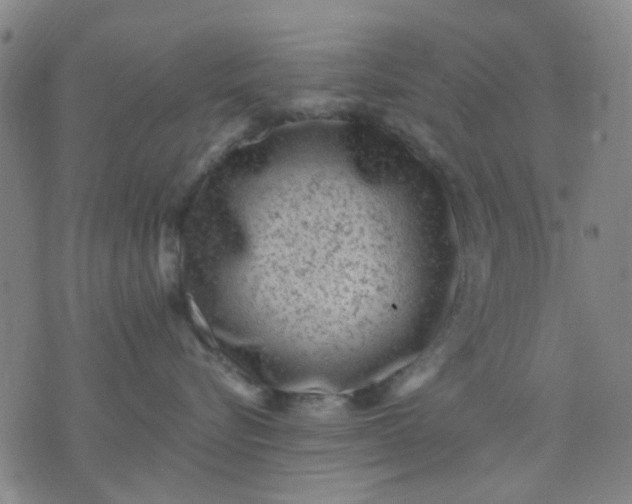 X0000076100576200610061710