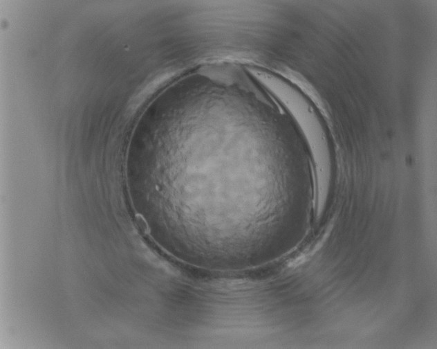 X0000076100577200610061709