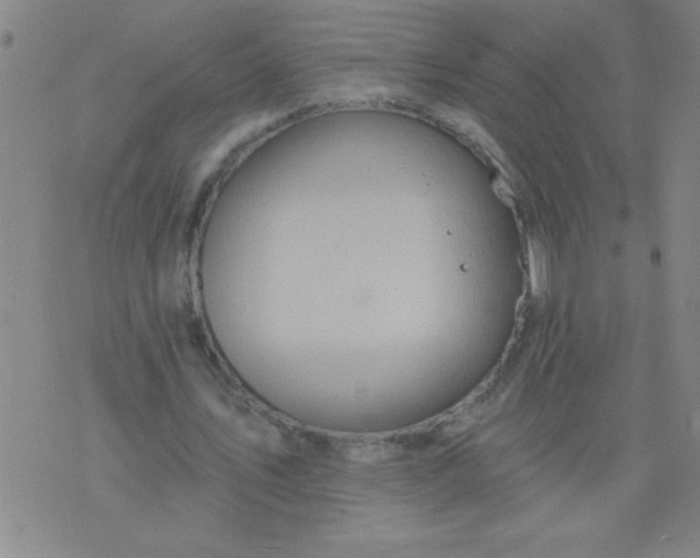 X0000076100579200610061709