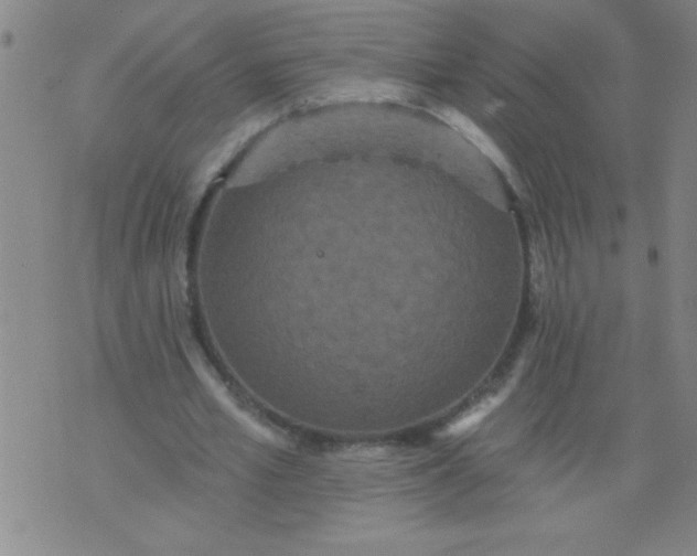 X0000076100581200610061709