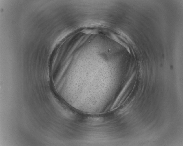 X0000076100582200610061709