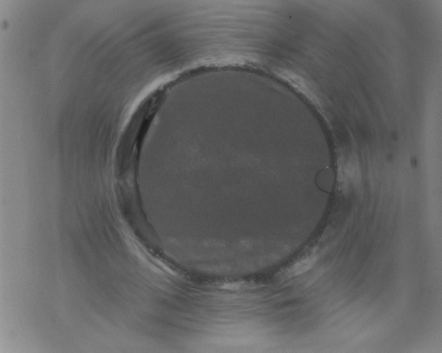 X0000076100584200610061709