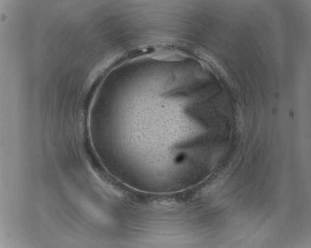 X0000076100586200610061709