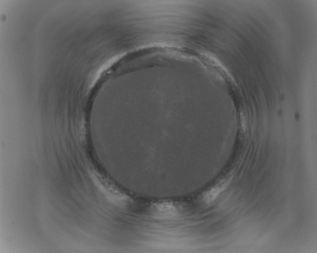 X0000076100588200610061709